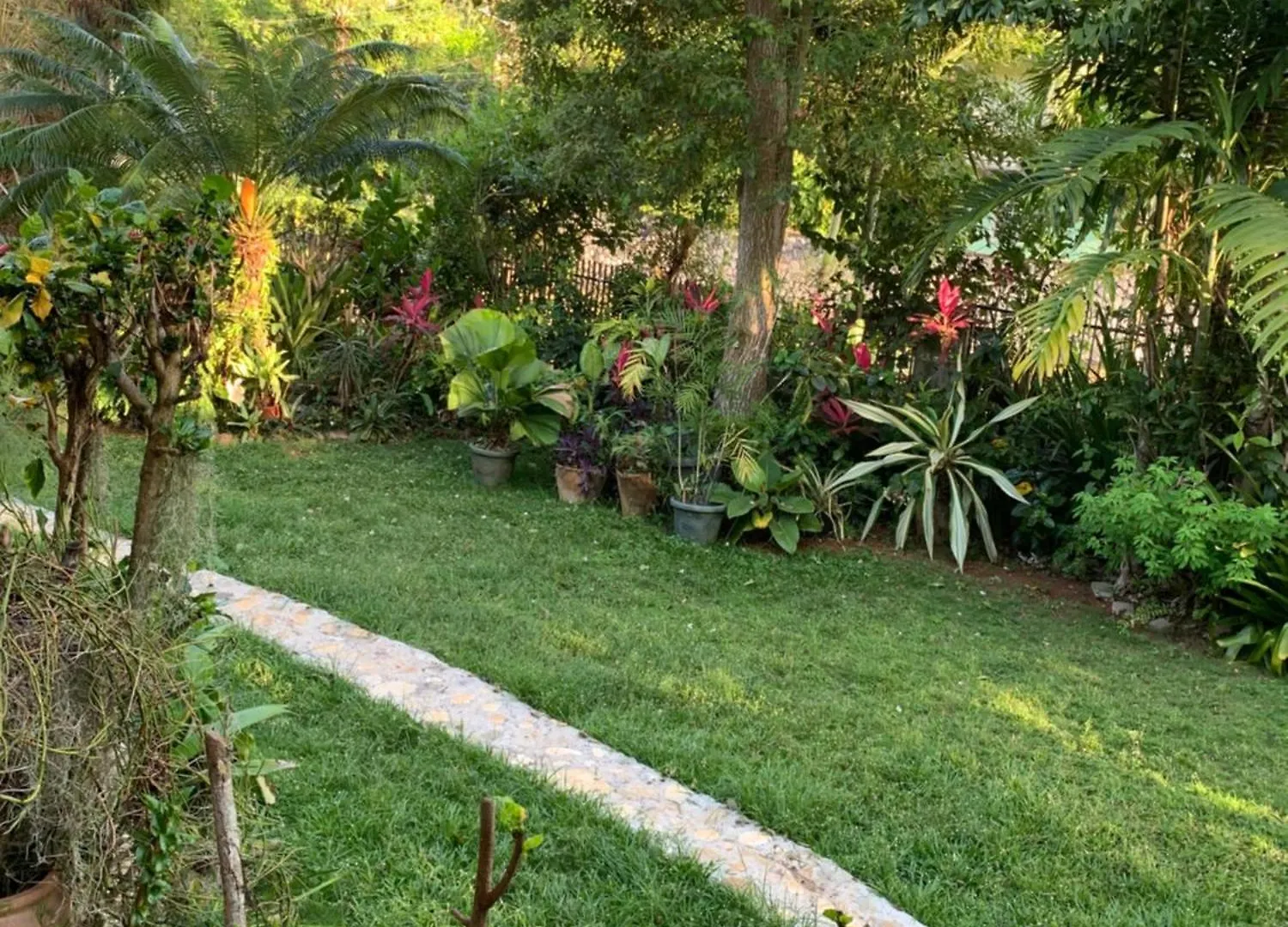 Séjour chez l'habitant Willow Retreat Kupuis Jamaïque